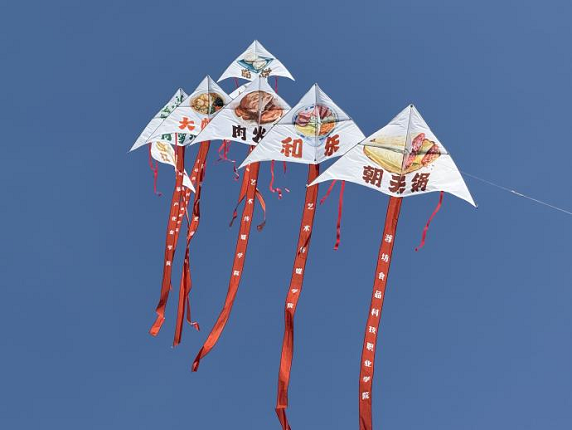 1744960703128656.png 風(fēng)箏1.png